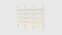 Branch-3 Shelving Unit